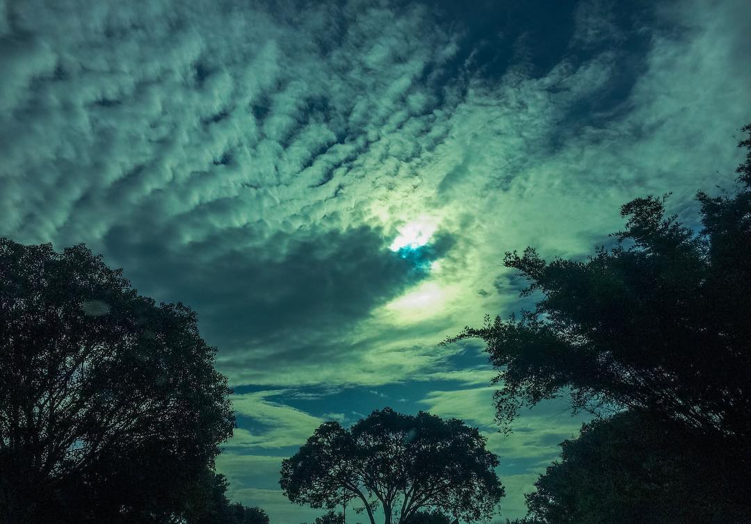 Green Glow